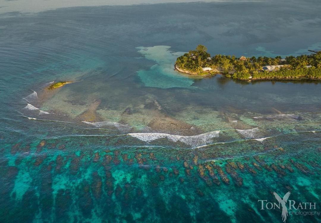 Pelican Beach Resort South Water Caye Dangriga Esterno foto